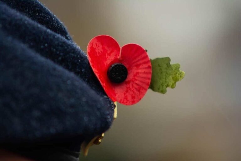 rememberance poppy pin